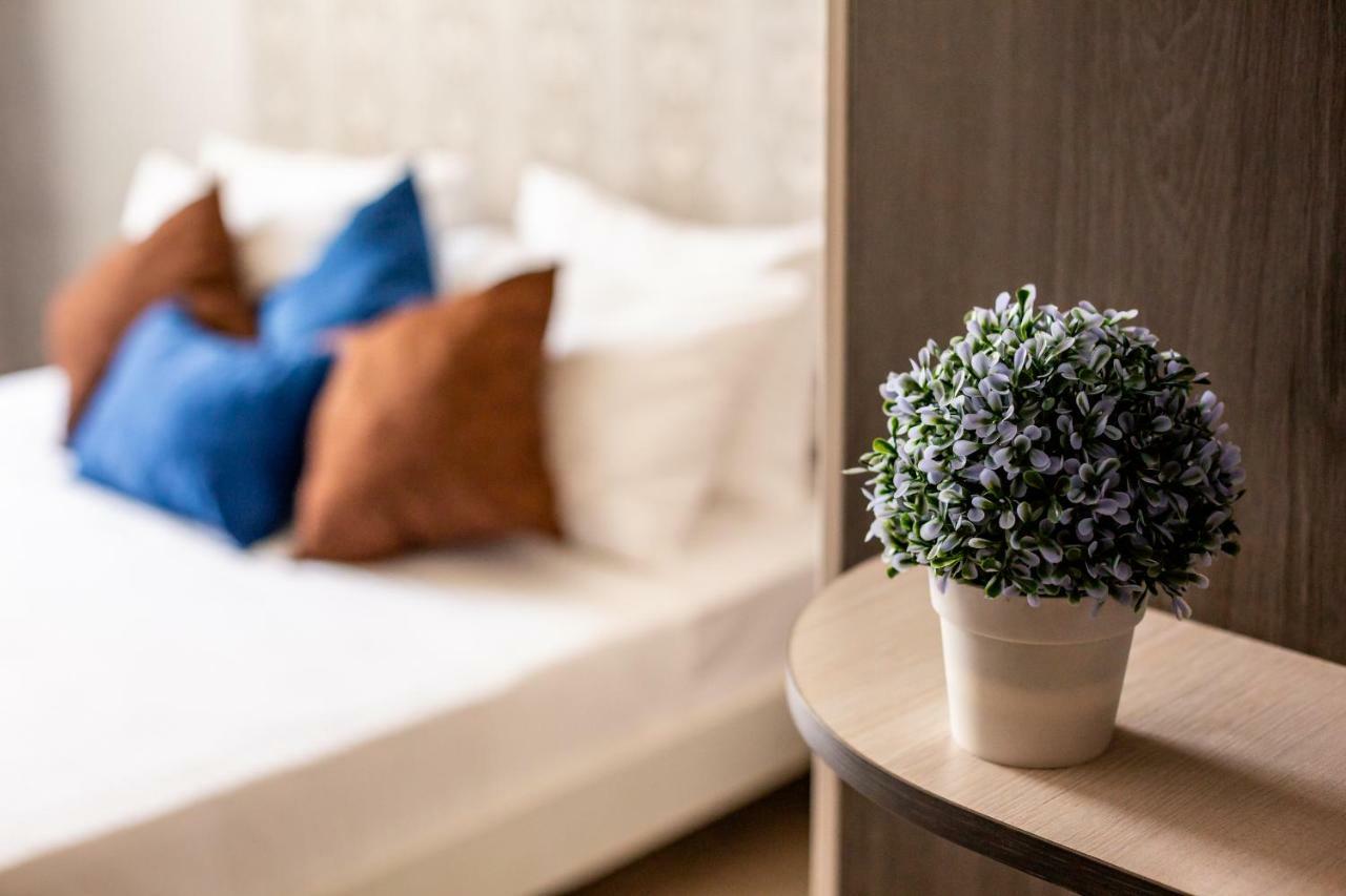Alfa Apartments Kniazia Romana 11 利沃夫 外观 照片