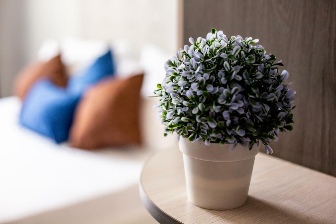 Alfa Apartments Kniazia Romana 11 利沃夫 外观 照片